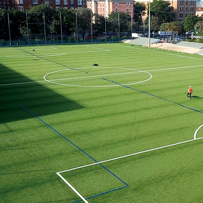 Artificial Sports Grass in Aundh